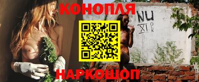 стаф Волгодонск