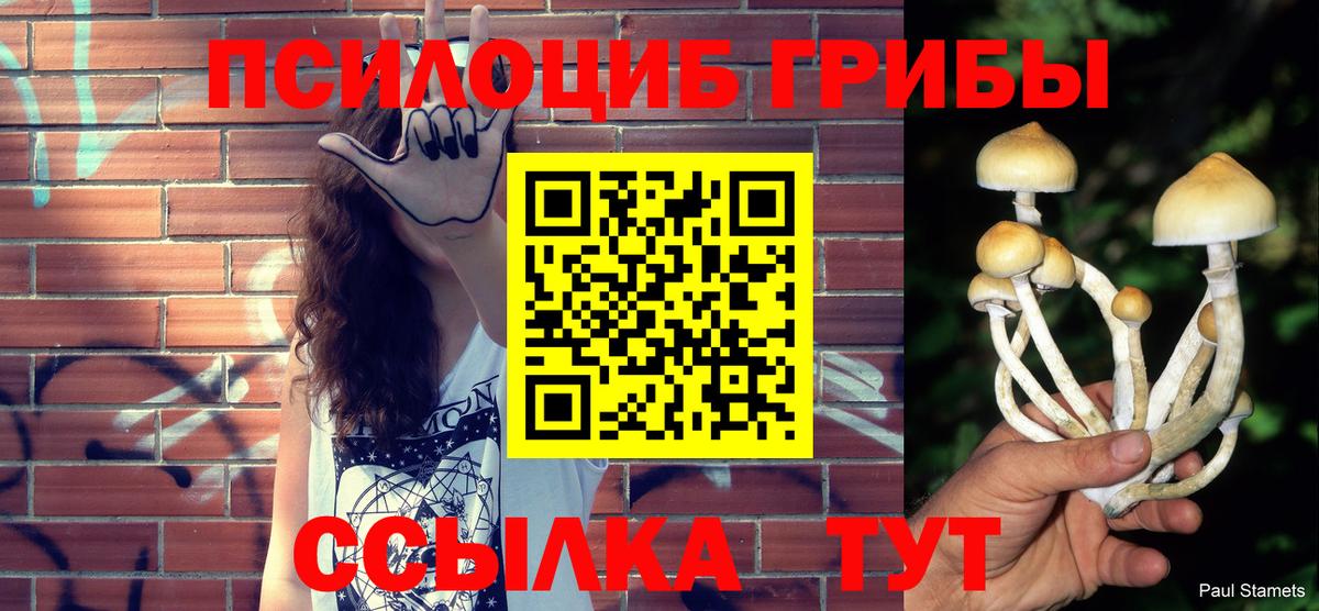 Галлюциногенные грибы GOLDEN TEACHER Ногинск