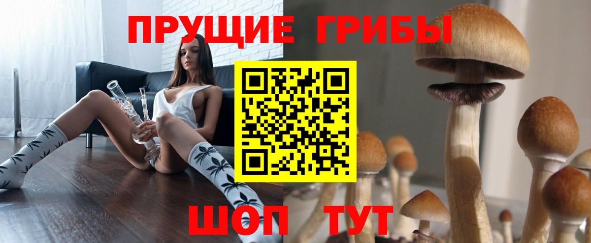 Ногинск  Псилоцибиновые грибы Magic Shrooms  Вход с VPN 